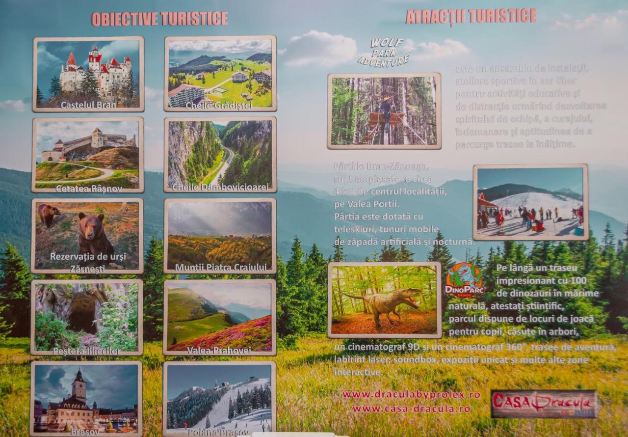 ホテル Prolex Turism Srl ブラン エクステリア 写真